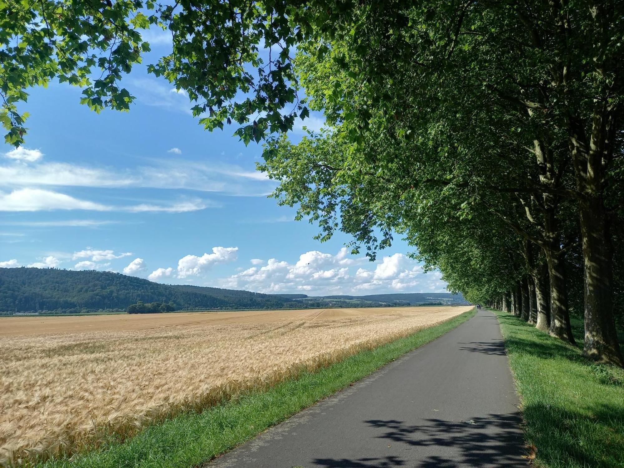 Ferienwohnung Feld Und Wiese Höxter Екстериор снимка