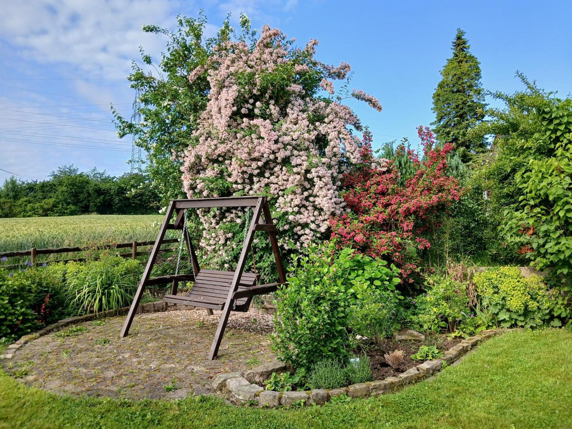Ferienwohnung Feld Und Wiese Höxter Екстериор снимка